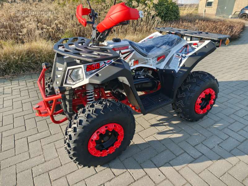 Unused XTL Commander 200CC Quad, Dutch r...