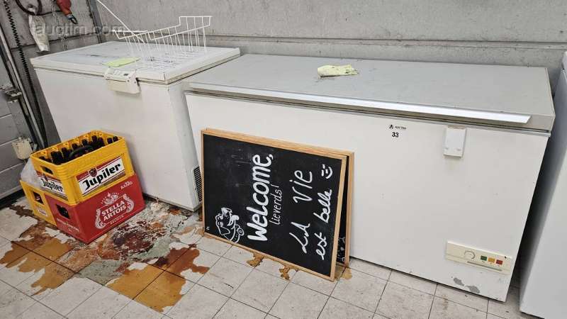 Vari congelatori a pozzetto (4x) tra cui AEG,...