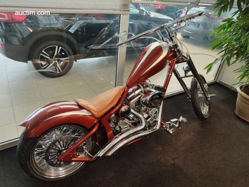 Harley Davidson DNA Soft Tail Custom 2012