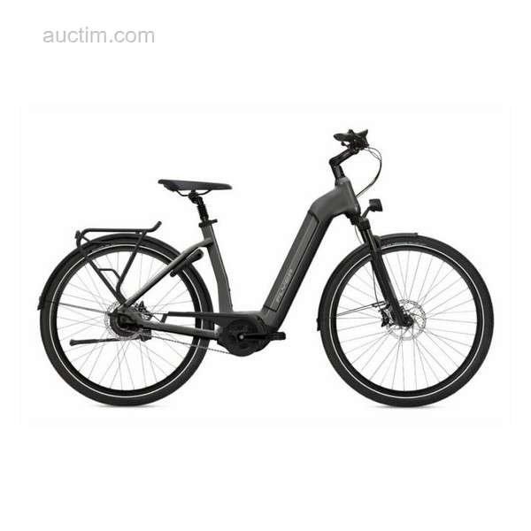 elektrische fiets Flyer Gotour 6 3.40 Comfort
